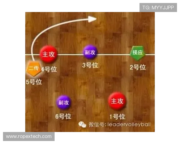 南京排球队快攻战术解析与实战应用探讨
